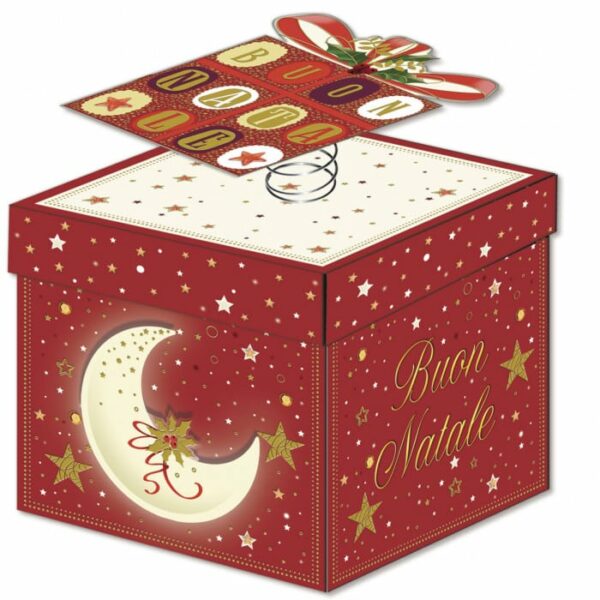 XMAS SURPRISE BOX BOUTIQUE (NT6404)