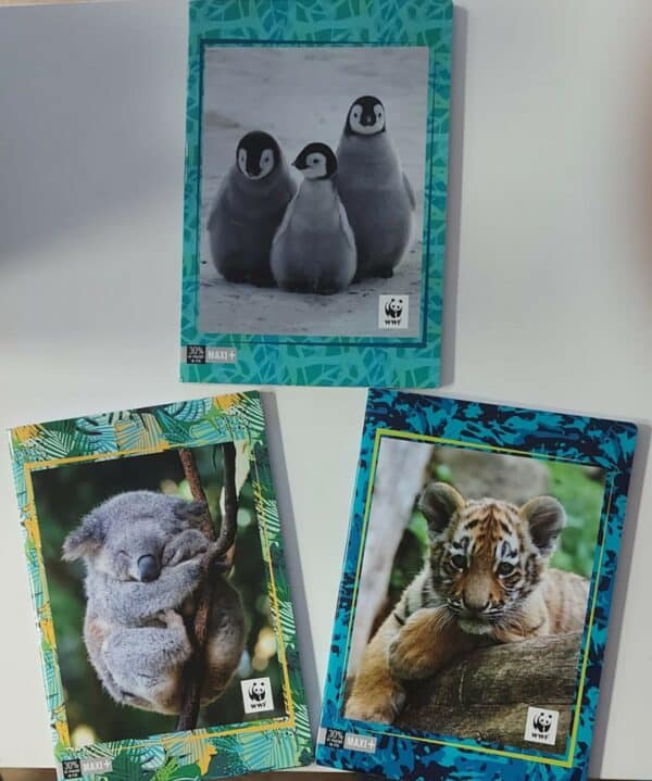 WWF FOTO: CONFEZIONE 12 PZ QUADERNO MAXI + 30%  riga C 1 RIGO C/MARGINE
