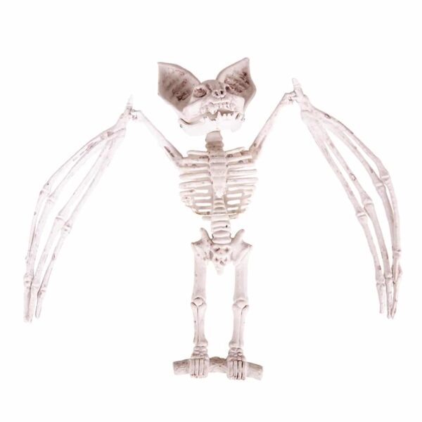 Scheletro pipistrello