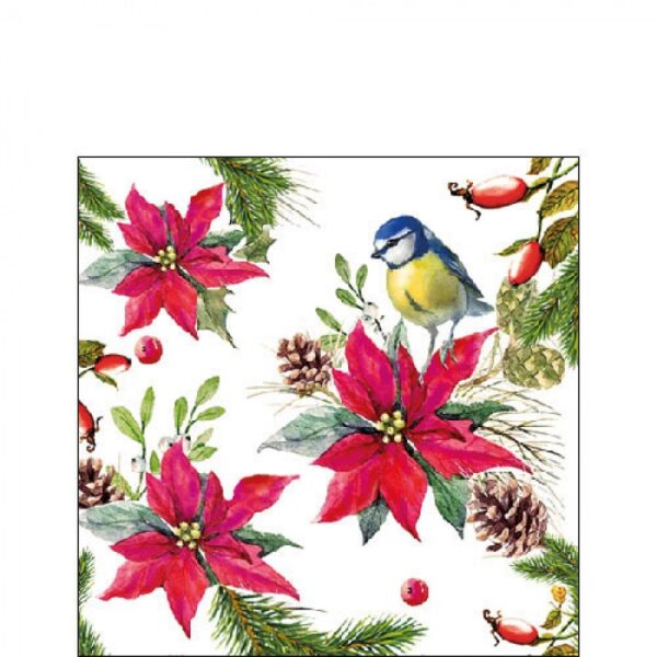 AMBIENTE: tovaglioli 25x25  uccellino su stella di natale fondo bianco (3251 4640)