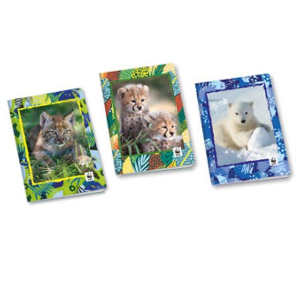 WWF FOTO: CONFEZIONE 12 PZ QUADERNO MAXI + 30% RIGO B 3 ELEMENTARE
