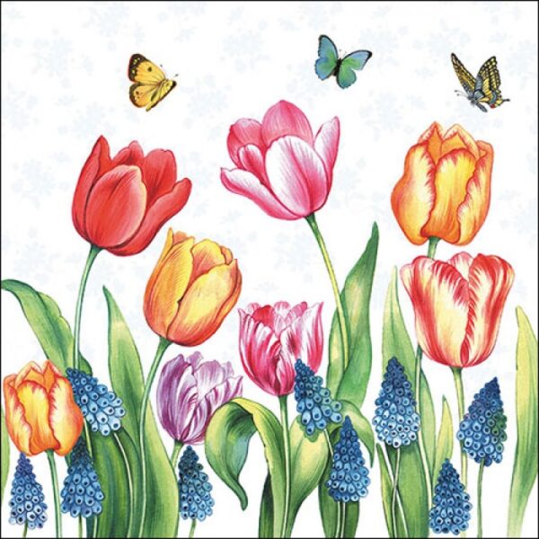 AMBIENTE: TOVAGLIOLI 33 X 33 TULIPS & MUSCARI